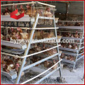 High Quality A Type Chicken Cage System